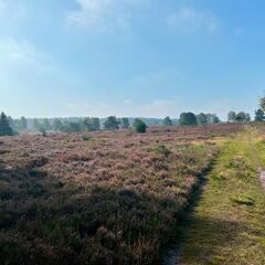 23-09-10 11-18-21 6606